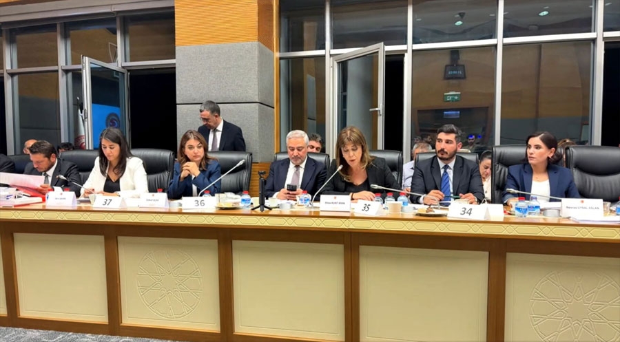 پەرلەمانتارانی دەم پارتی: یاسای چوارچێوە هەنگاوی یەکەمی دیموکراسییە